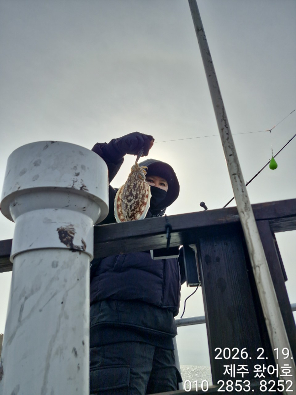제주왔어호_사진_20260220_27.jpg