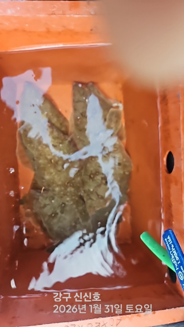 신신낚시 강구점 신신호_사진_20260131_5.jpg