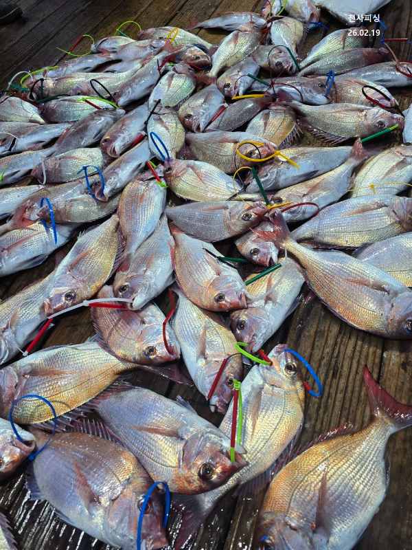 1004피싱_사진_20260219_5.jpg