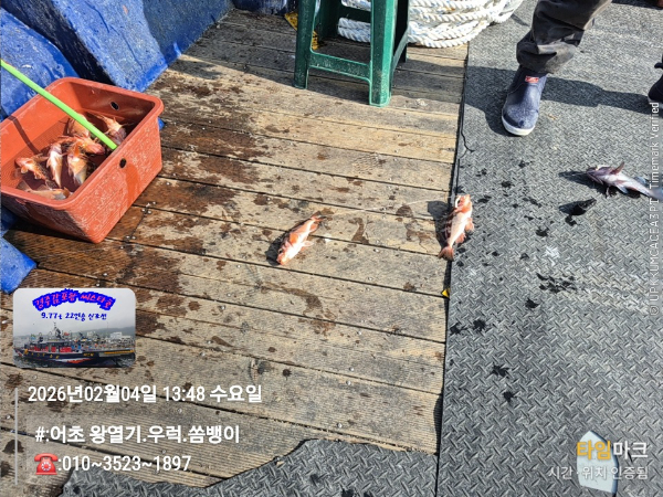 2026-02-04 13.48.48__(#-어초 왕열기.우럭.쏨뱅이)_(-010~3523~1897).jpg
