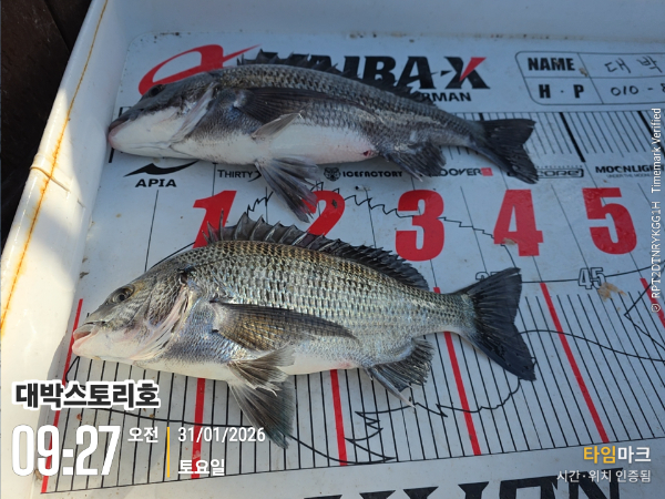 2026-01-31 09.27.21__(대박스토리호).jpg