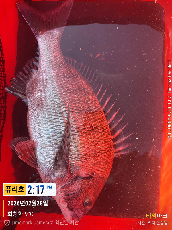 2026-02-28 14.17.16_(제목-퓨리호).jpeg