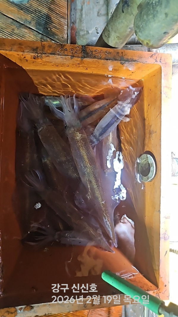 신신낚시 강구점 신신호_사진_20260220_2.jpg