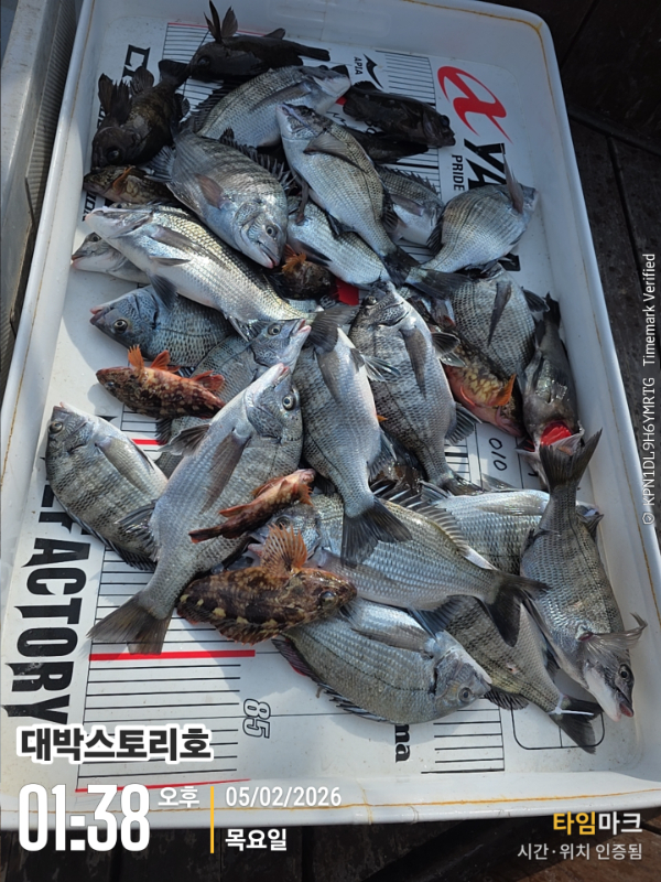 2026-02-05 01.38.43__(대박스토리호).jpg