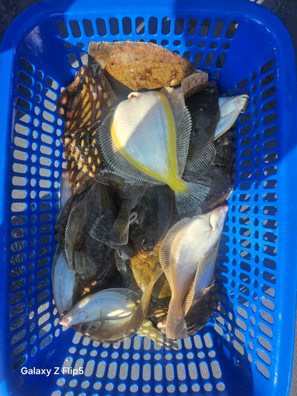 신신낚시 강구점 신신호_사진_20260220_12.jpg