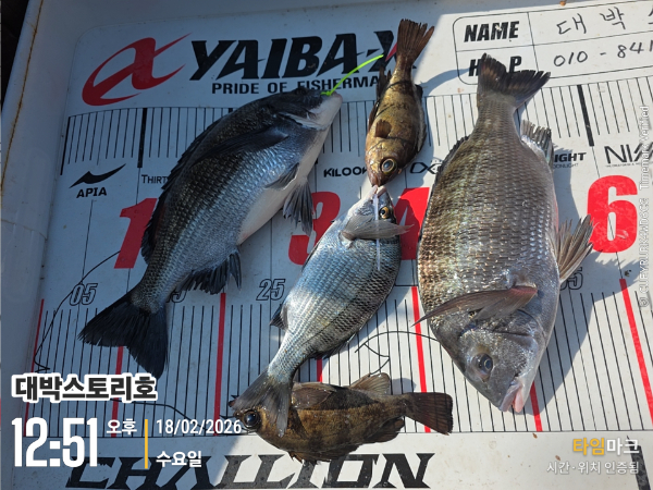 2026-02-18 12.51.45__(대박스토리호).jpg