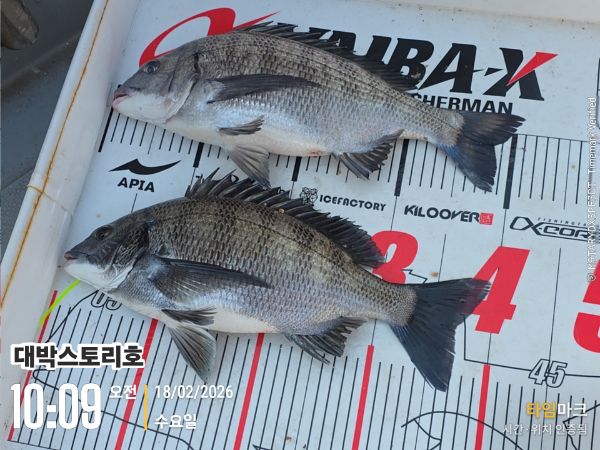 2026-02-18 10.09.58__(대박스토리호).jpg