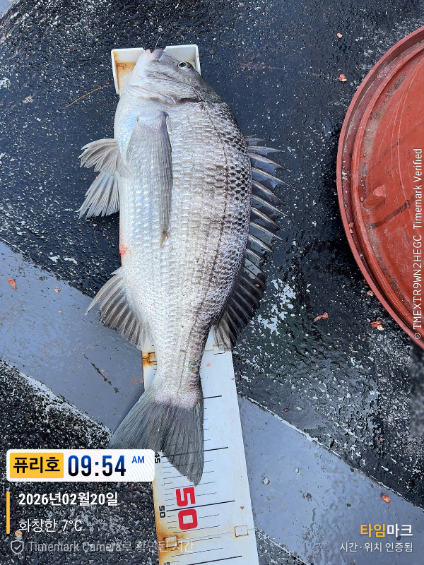 2026-02-20 09.54.37_(제목-퓨리호).jpeg