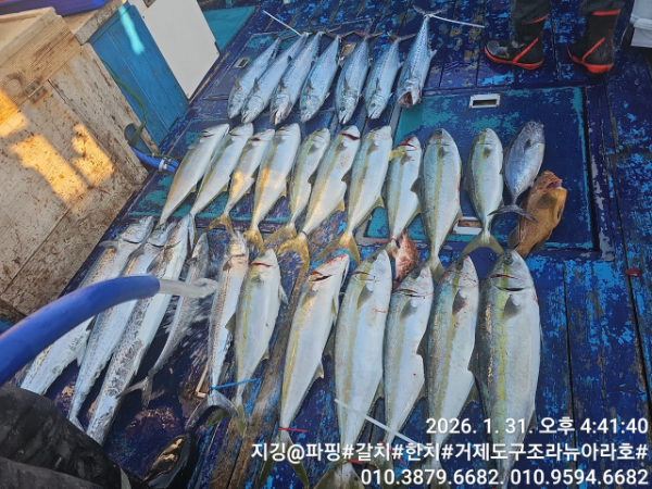 거제도 구조라  뉴아라호 (지깅, 파핑,한치,갈치,타이바라 전문)_사진_20260201_2.jpg