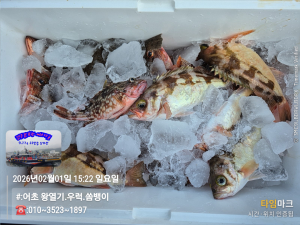 2026-02-01 15.22.43__(#-어초 왕열기.우럭.쏨뱅이)_(-010~3523~1897).jpg