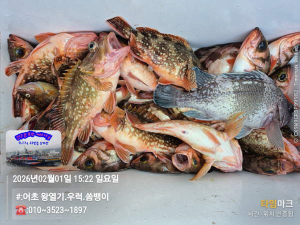 2026-02-01 15.22.04__(#-어초 왕열기.우럭.쏨뱅이)_(-010~3523~1897).jpg