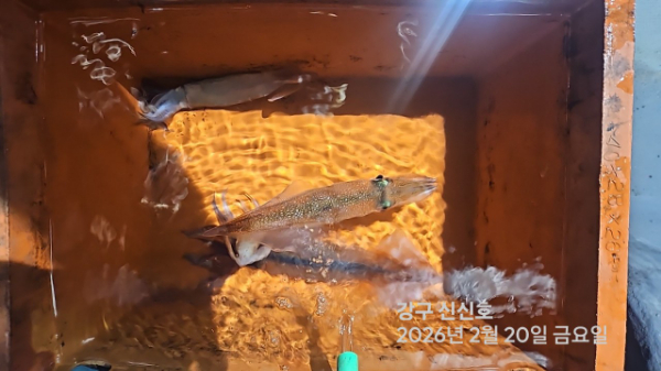 신신낚시 강구점 신신호_사진_20260221_18.jpg