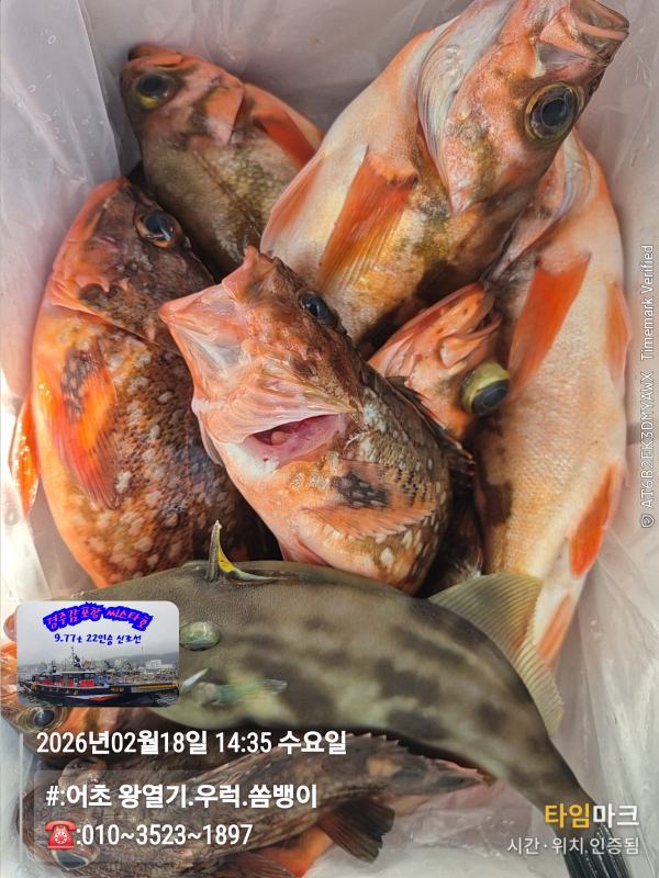 2026-02-18 14.35.36__(#-어초 왕열기.우럭.쏨뱅이)_(-010~3523~1897).jpg