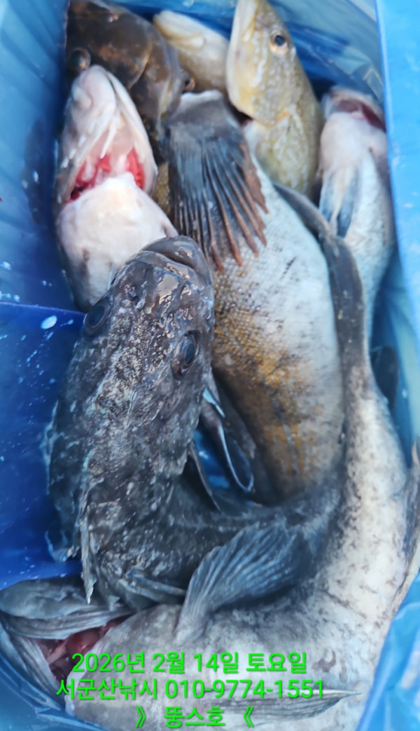 군산 선상낚시, 바다낚시 출조 전문 ☆서군산낚시☆_사진_20260215_6.jpg