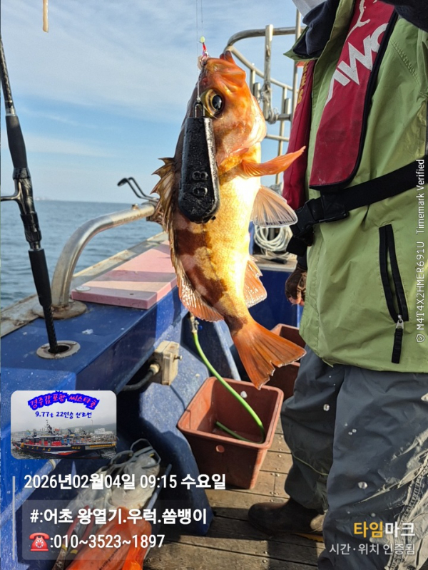 2026-02-04 09.15.02__(#-어초 왕열기.우럭.쏨뱅이)_(-010~3523~1897).jpg