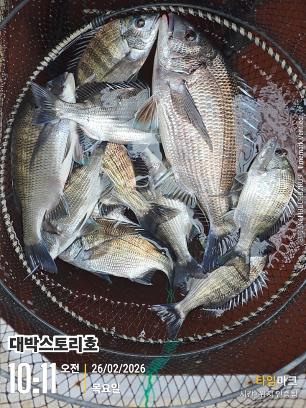 2026-02-26 10.11.53__(대박스토리호).jpg