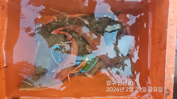 신신낚시 강구점 신신호_사진_20260220_11.jpg