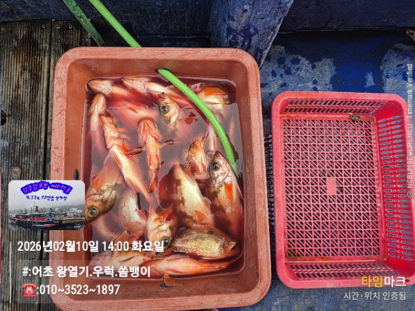 2026-02-10 14.00.03__(#-어초 왕열기.우럭.쏨뱅이)_(-010~3523~1897).jpg