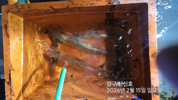 신신낚시 강구점 신신호_사진_20260216_18.jpg