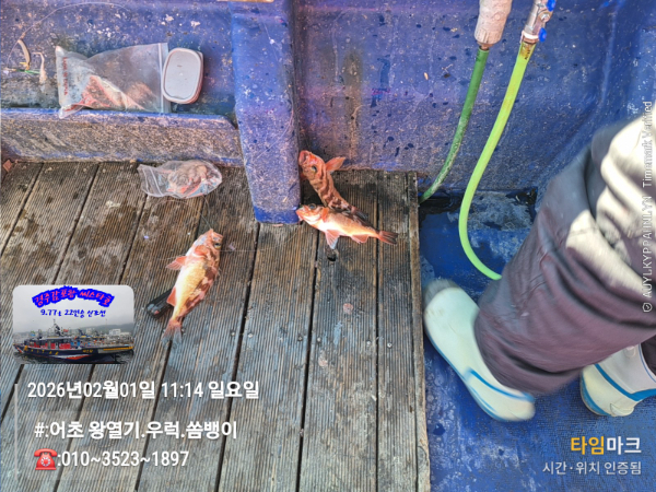 2026-02-01 11.14.10__(#-어초 왕열기.우럭.쏨뱅이)_(-010~3523~1897).jpg