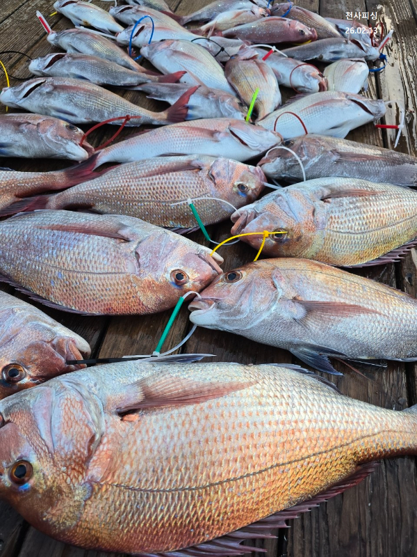 1004피싱_사진_20260213_12.jpg