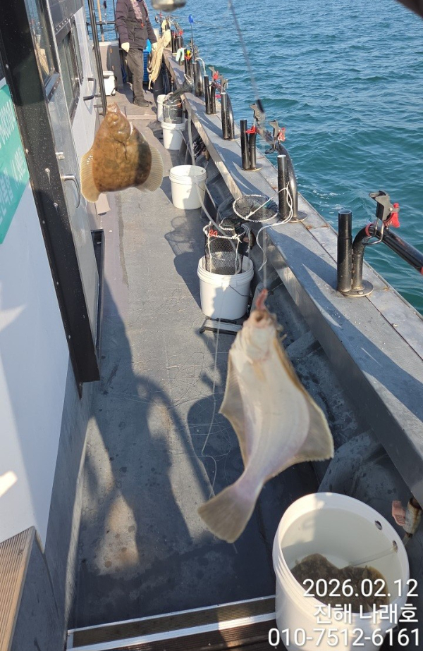 나래피싱(문어,낙지,갈치,호래기,감성돔)_사진_20260212_9.jpg