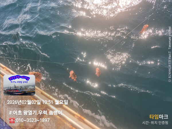 2026-02-02 10.51.25__(#-어초 왕열기.우럭.쏨뱅이)_(-010~3523~1897).jpg