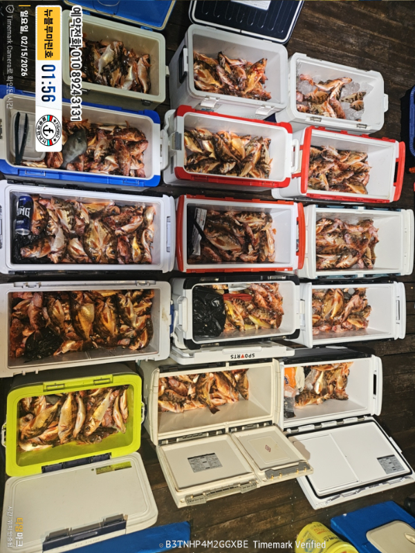 2026-02-15 01.56.14__(제목-뉴블루마린호)_(예약전화 010 8924 3131).jpg