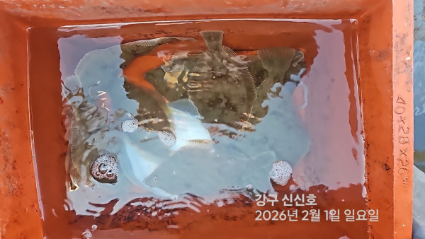 신신낚시 강구점 신신호_사진_20260201_7.jpg