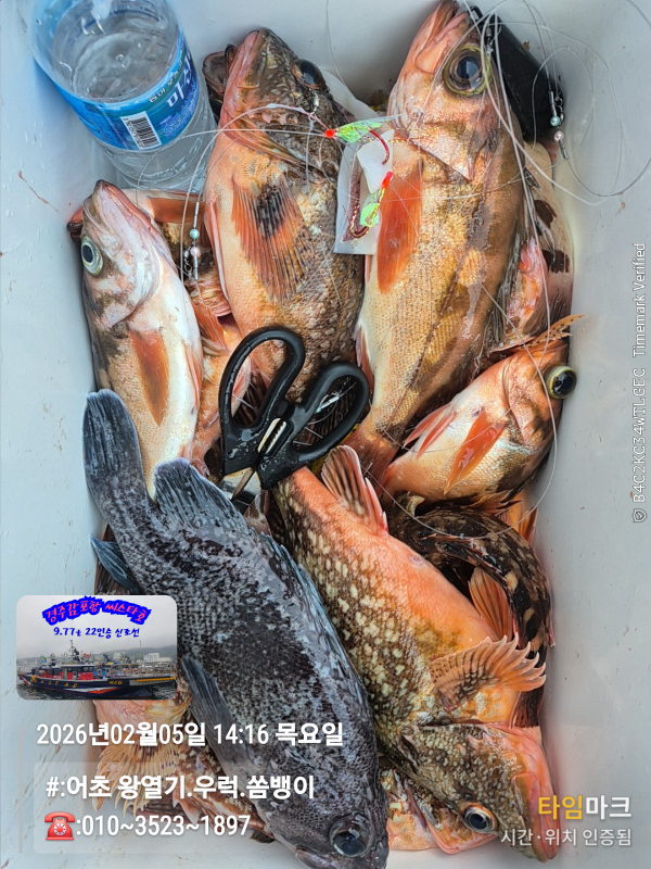 2026-02-05 14.16.41__(#-어초 왕열기.우럭.쏨뱅이)_(-010~3523~1897).jpg