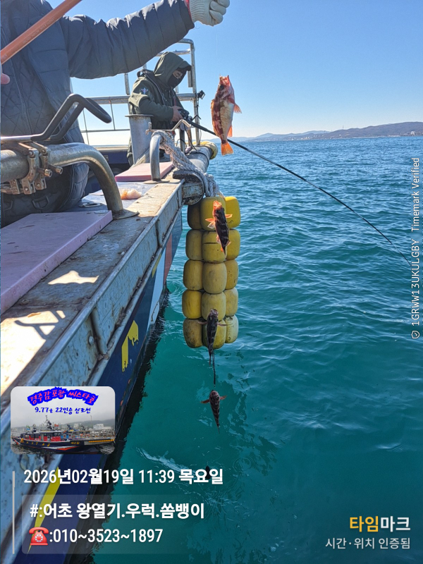 2026-02-19 11.39.59__(#-어초 왕열기.우럭.쏨뱅이)_(-010~3523~1897).jpg