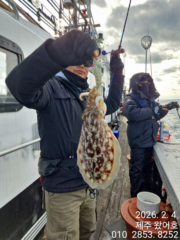제주왔어호_사진_20260205_26.jpg