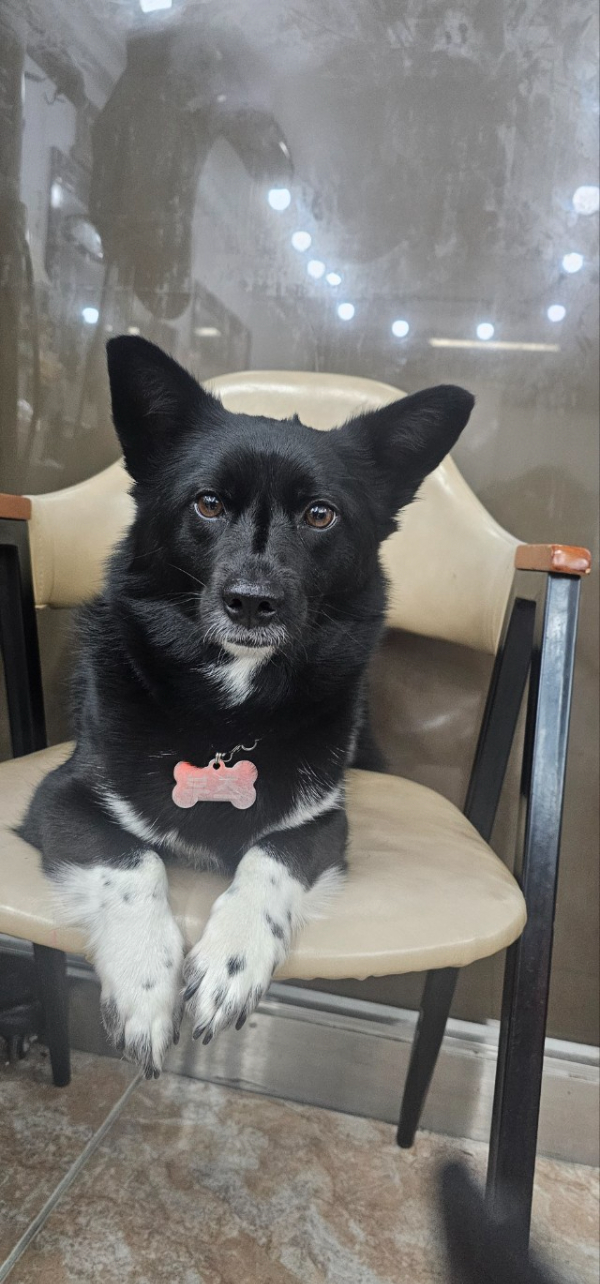 거제도 구조라  뉴아라호 (지깅, 파핑,한치,갈치,타이바라 전문)_사진_20260120_8.jpg