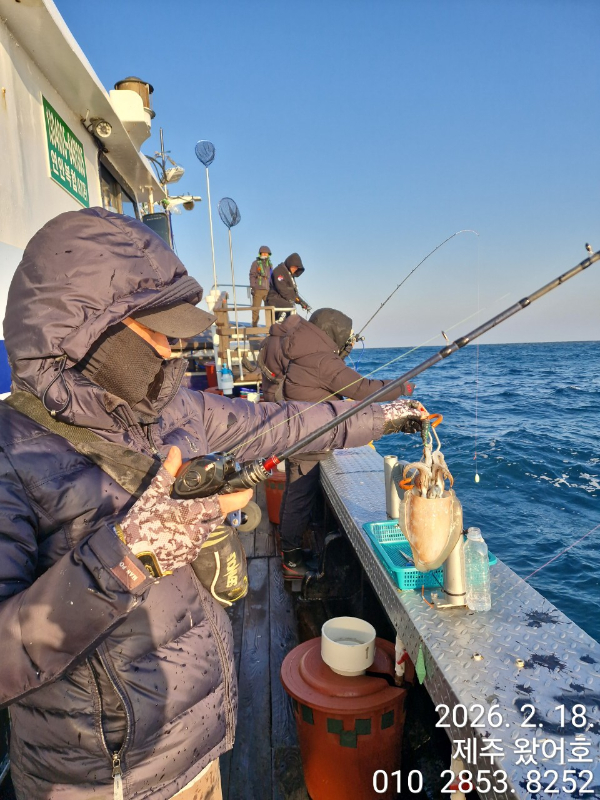 제주왔어호_사진_20260218_29.jpg