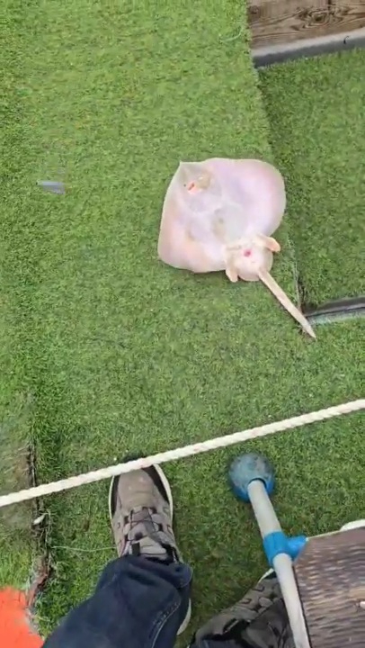 2026_02_27 19_33 (1)(2).jpg