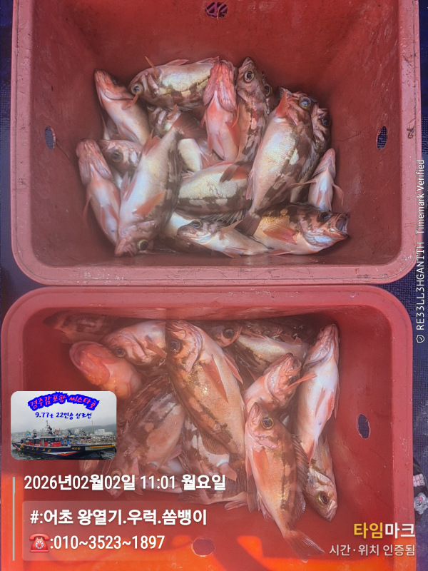 2026-02-02 11.01.48__(#-어초 왕열기.우럭.쏨뱅이)_(-010~3523~1897).jpg