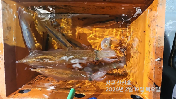 신신낚시 강구점 신신호_사진_20260220_5.jpg