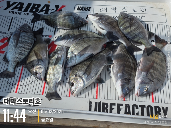 2026-02-06 11.44.05__(대박스토리호).jpg