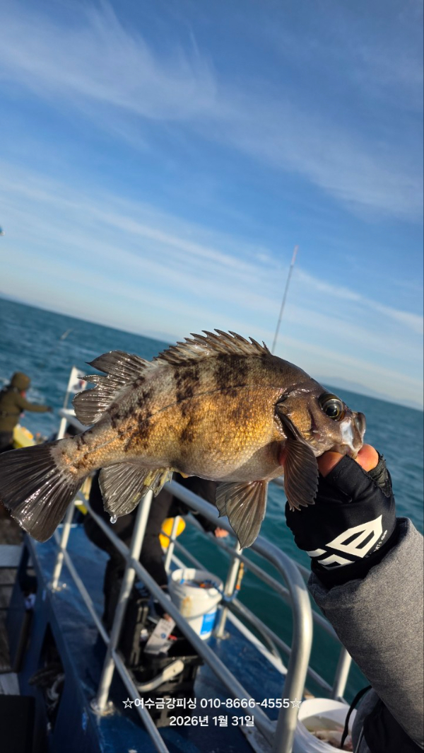 여수금강피싱_사진_20260212_2.jpg
