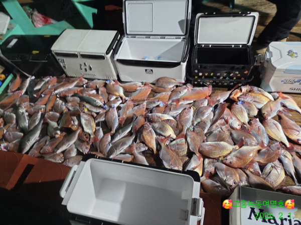 쎄븐피싱클럽(선상 버스출조전문)_사진_20260202_2.jpg