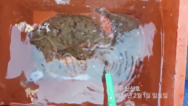 신신낚시 강구점 신신호_사진_20260201_12.jpg