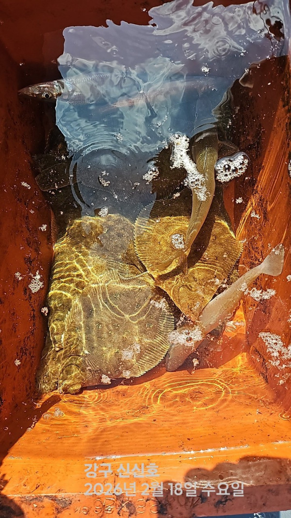 신신낚시 강구점 신신호_사진_20260218_4.jpg