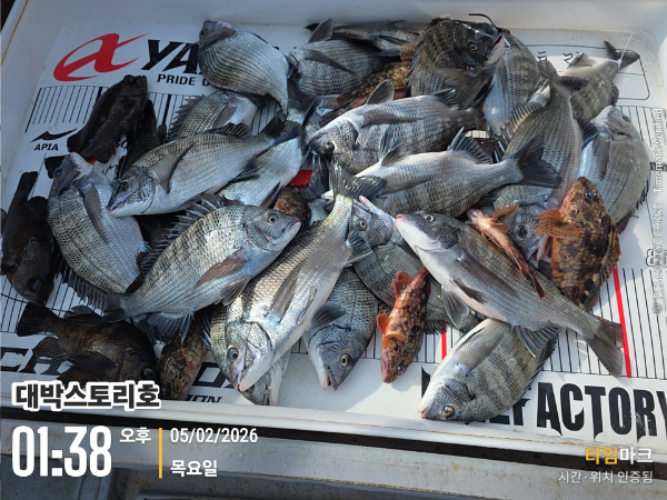 2026-02-05 01.38.38__(대박스토리호).jpg