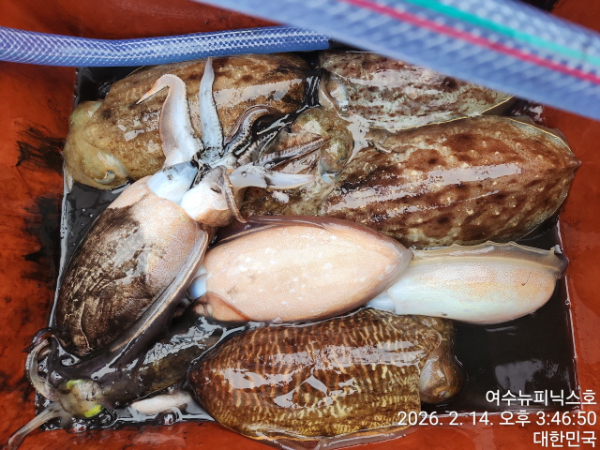 2월14일심해갑 (3).jpg