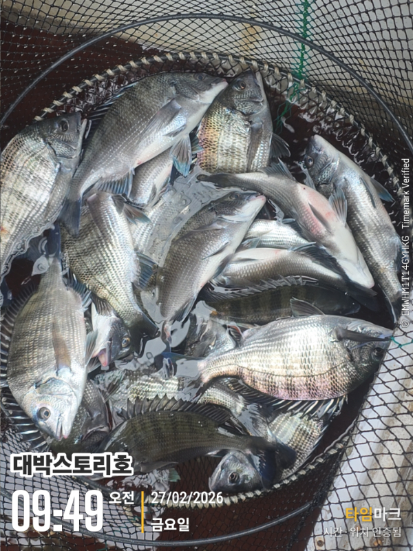 2026-02-27 09.49.26__(대박스토리호).jpg