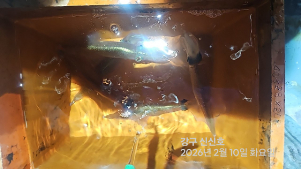 신신낚시 강구점 신신호_사진_20260211_17.jpg