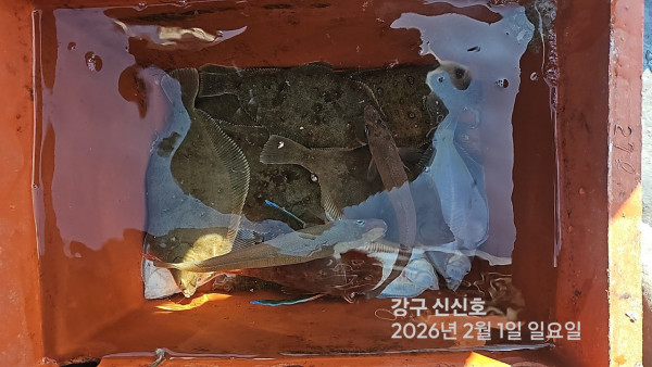 신신낚시 강구점 신신호_사진_20260201_8.jpg