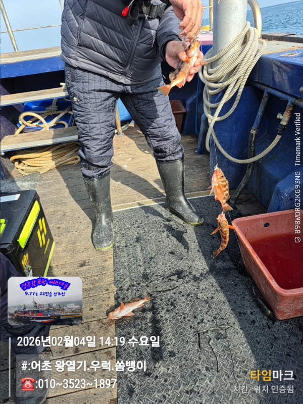 2026-02-04 14.19.42__(#-어초 왕열기.우럭.쏨뱅이)_(-010~3523~1897).jpg