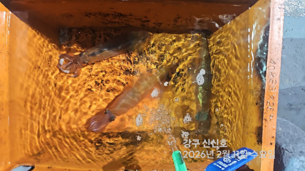 신신낚시 강구점 신신호_사진_20260212_11.jpg