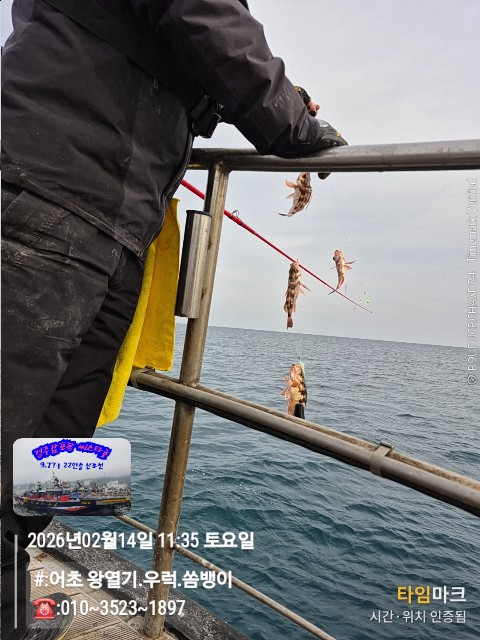 2026-02-14 11.35.23__(#-어초 왕열기.우럭.쏨뱅이)_(-010~3523~1897).jpg